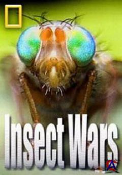 NG -   /   / Insect wars