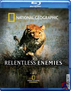 NG -   ( ) / Relentless Enemies