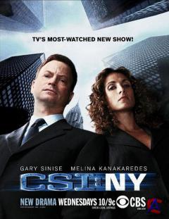 CSI:   - / CSI: NY (1 )
