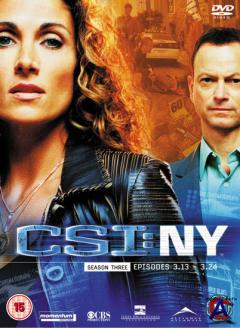 CSI:   - / CSI: NY (3 )