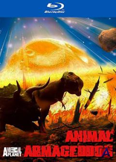 ANIMAL -   / Animal Planet: Animal Armageddon [HD]