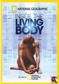 NG -    / Inside the Living Body