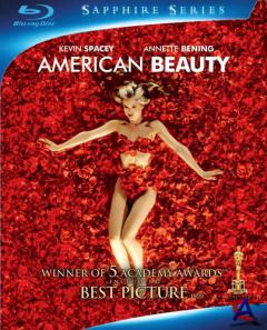  - / American Beauty