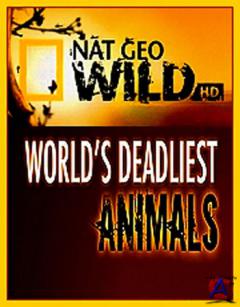 NG -     / Worlds Deadliest Animals