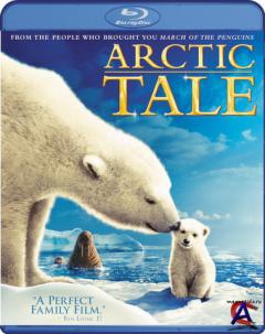 NG -    ( ) / Arctic Tale