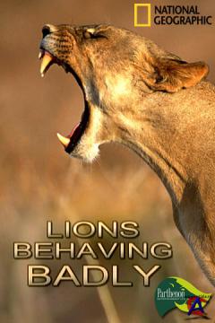 NG - - / Lions Behaving Badly