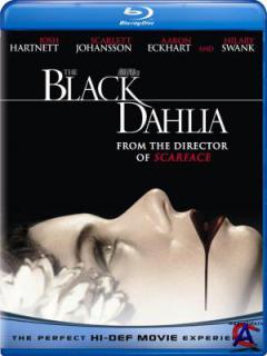   / Black Dahlia, The
