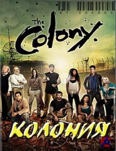 -2 / The Colony-2