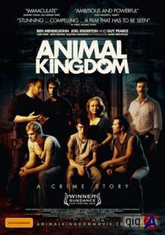   / Animal Kingdom