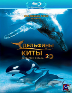 IMAX -    / Dolphins and Whales: Tribes of the Ocean