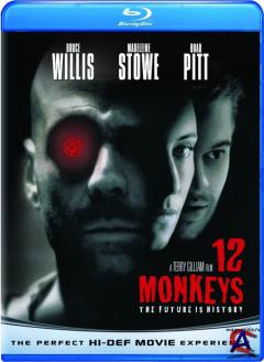 12  /   / Twelve Monkeys