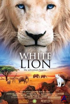   / White Lion