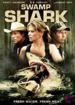   / Swamp Shark