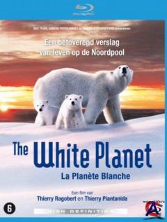   / The White Planet / La plante blanche