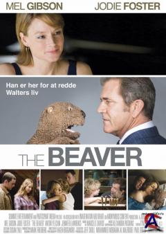 / The Beaver