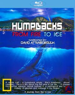  .     / Humpbacks. From Fire to Ice