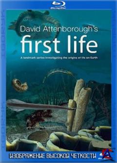 BBC:   / First Life (David Attenboroughs First Life)