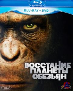    / Rise of the Planet of the Apes