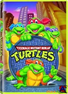    / Teenage Mutant Ninja Turtles (8 )