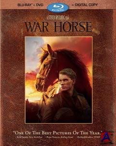   / War Horse