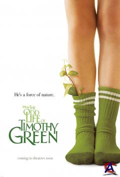     / The Odd Life of Timothy Green