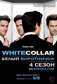   / White Collar (4)
