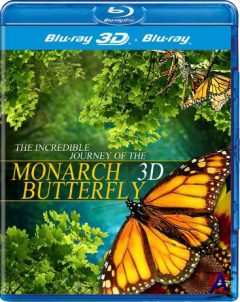   3D / Flight of the Monarch Butterfly 3D