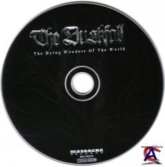 The Duskfall "The Dying Wonders Of The World"