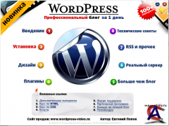 Wordpress -     
