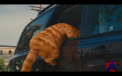  2:    / Garfield: A Tail of Two Kitties