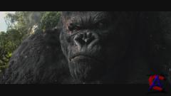   / King Kong [HD]