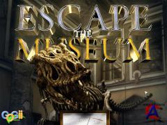    / Escape the museum