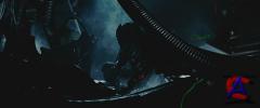   :  / Aliens vs. Predator Requiem [HD]