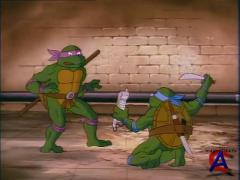    (  2)/Teenage Mutant Ninja Turtles