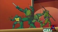 / Teenage Mutant Ninja Turtles: Turtles Forever