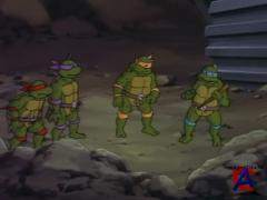    (  1)/Teenage Mutant Ninja Turtles