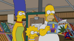  (21 ) / Simpsons, The [HD]