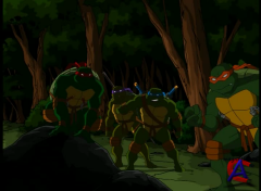   .  ! / Teenage Mutant Ninja Turtles[3 ]
