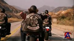   / Sons of Anarchy (1 )