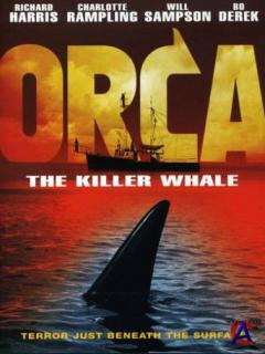    / ,  -  / Orca, the Killer Whale