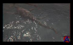 NG -   3D:   / Sea Monsters: A Prehistoric Adventure