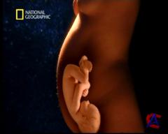 NG -   / NG - In the womb