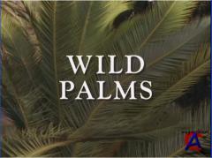   / Wild Palms (1 )