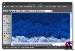 HyperSnap 6.61.06 (2009) PC