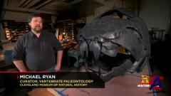 HISTORY -    / HISTORY - Prehistoric Monsters Revealed