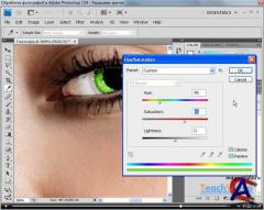 Photoshop, Illustrator, Adobe Flash -       