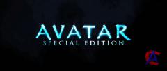  / Avatar ( )