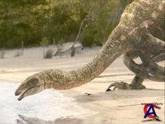 BBC:   .    / Walking With Dinosaurs: Land Of The Giants