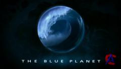 BBC:   / Blue Planet, The