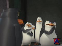   (2 ) / Penguins of Madagascar, The